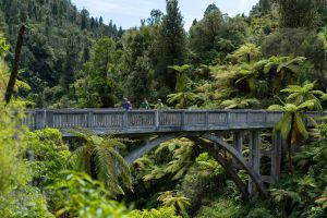 07May2016070518WhanganuiBridgetoNowhere.jpg