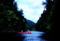 07May2016070523WhanganuiRiver.jpg