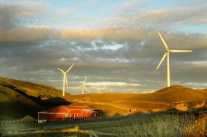 30Apr2016080457woodville-Windfarm.jpg