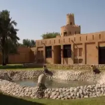 Al Ain Oasis Tours