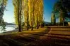 Lake Te Anau thumbnail