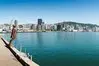 Wellington City thumbnail