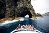 Bay of Islands Intercity thumbnail