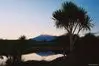 Tongariro Alpine Crossing - Ruapehu thumbnail