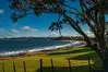 Whitianga - Coromandel Peninsula thumbnail