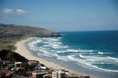 Dunedin thumbnail
