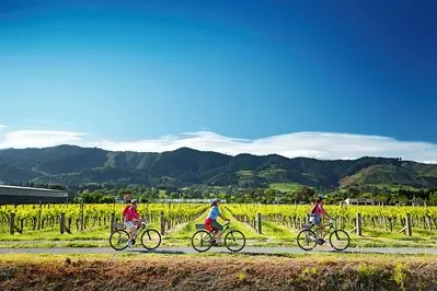 3. South Island Luxury Explorer - 21 Days thumbnail