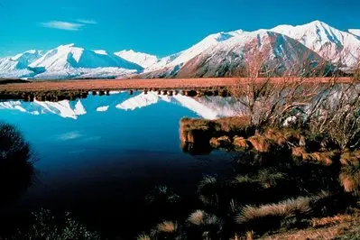 Lake Heron - Canterbury thumbnail