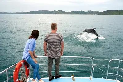 Bay Of Islands thumbnail