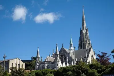 Dunedin thumbnail