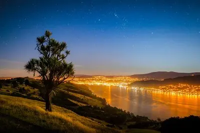 Otago Peninsula - Dunedin thumbnail