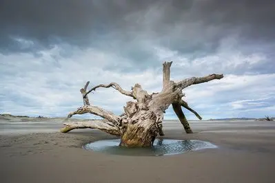 Golden Bay thumbnail