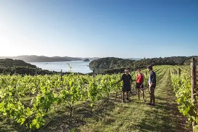 Bay Of Islands thumbnail